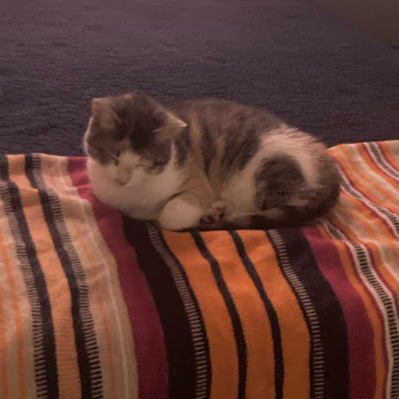 Meet your Posher, Terry - Picture 1 of 1